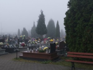 IMG_20201101_142559